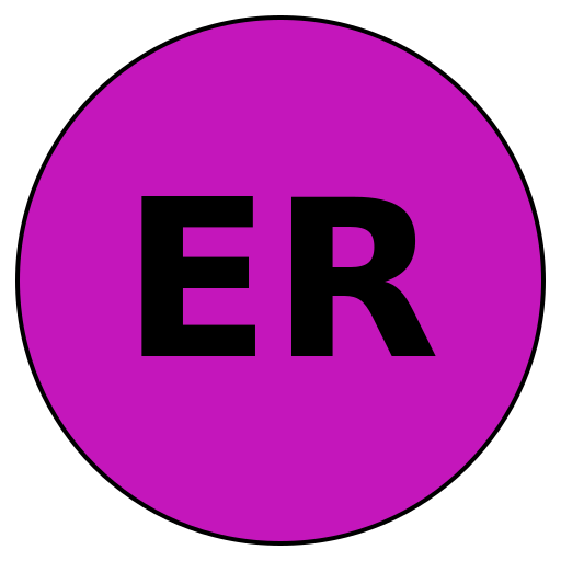 EnlightRun